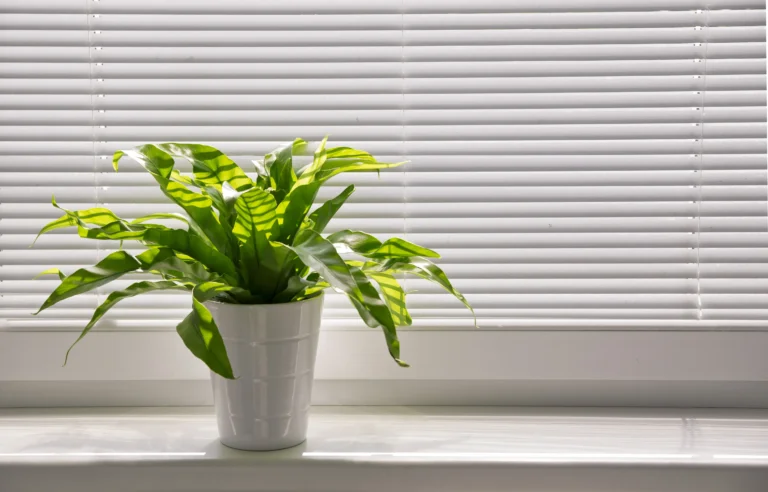 Indoor Air Quality Assessment